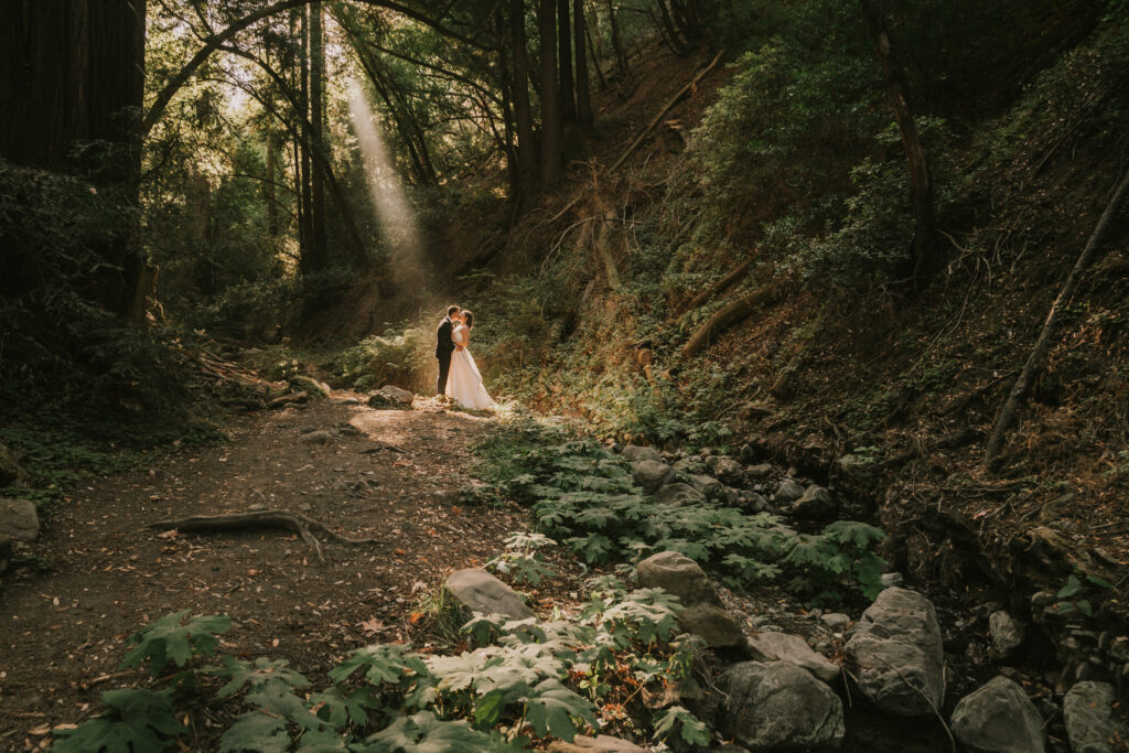 Big Sur elopement photo of bride and groom standing in the woods under a ray of light shining down through the trees