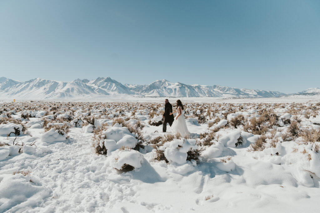 bride and groom walk around meadow in front of mountains in Mammoth Lakes California