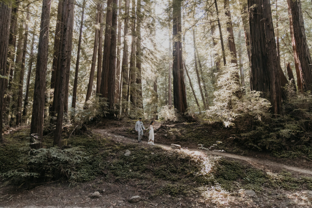 Bride and groom walking down trail at their Big Sur elopement in the redwoods